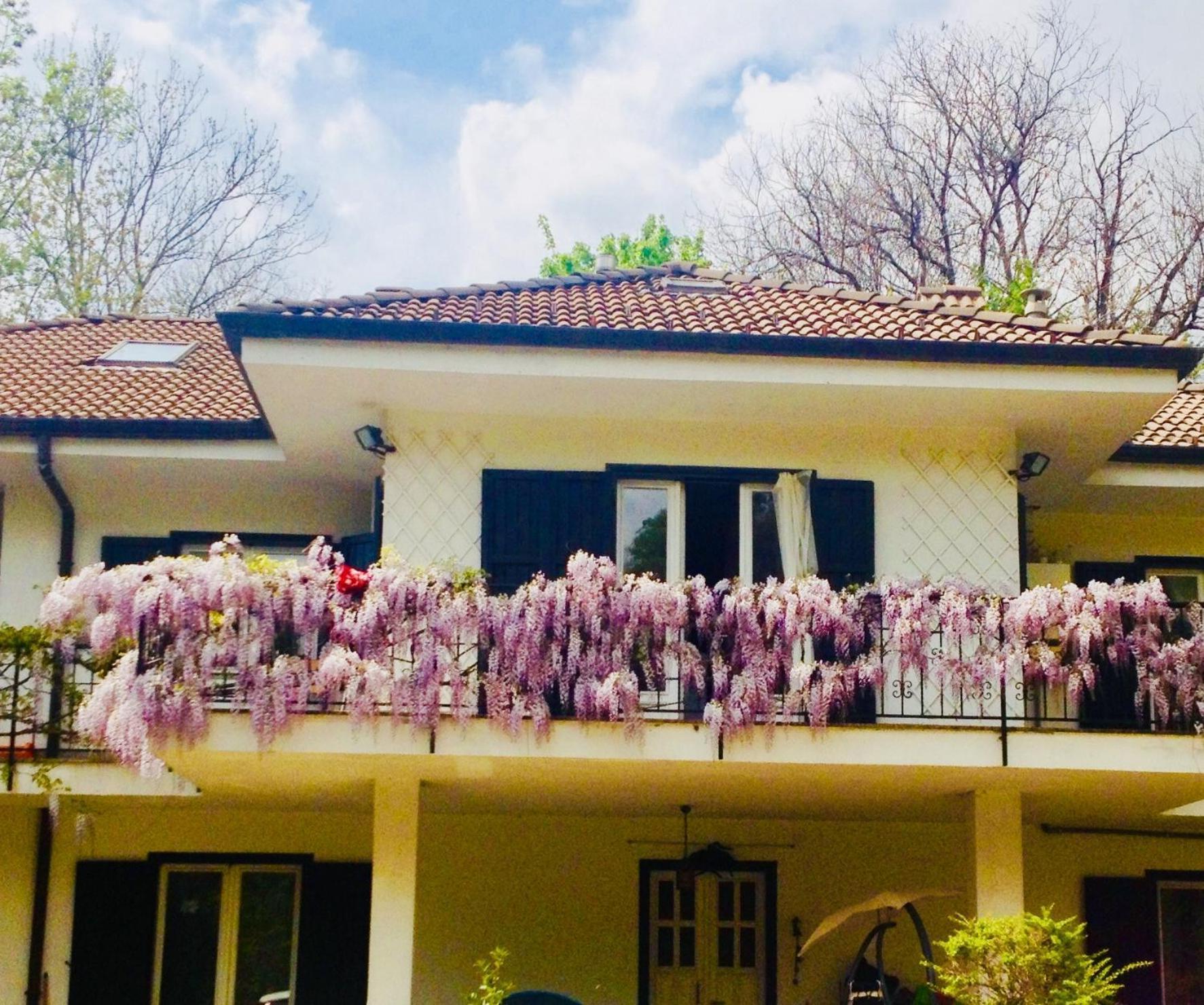 B&B La Libellula Castelnuovo Nigra Экстерьер фото