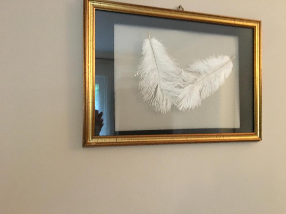 B&B La Libellula Castelnuovo Nigra Экстерьер фото