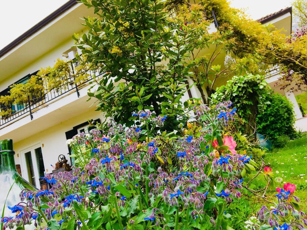 B&B La Libellula Castelnuovo Nigra Экстерьер фото